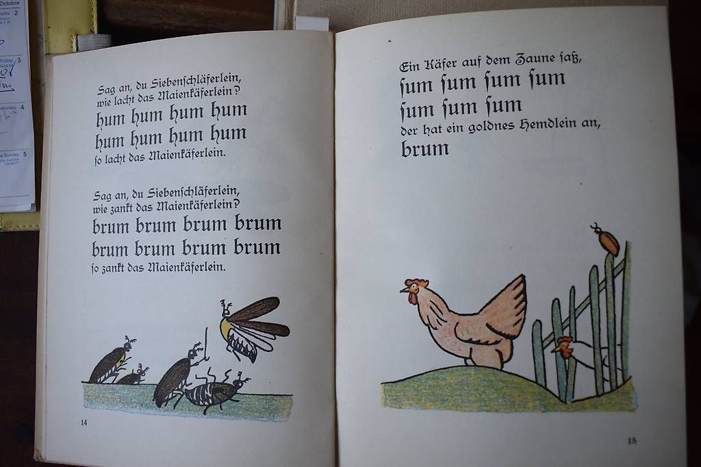 Libri: Der Bunte Vogel – Usato da Brügg BE venduto da Aristotolius 2