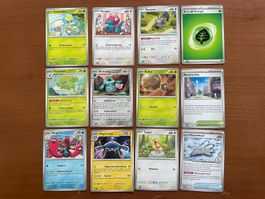 Pokemon 12er Karten Set (Versand gratis)