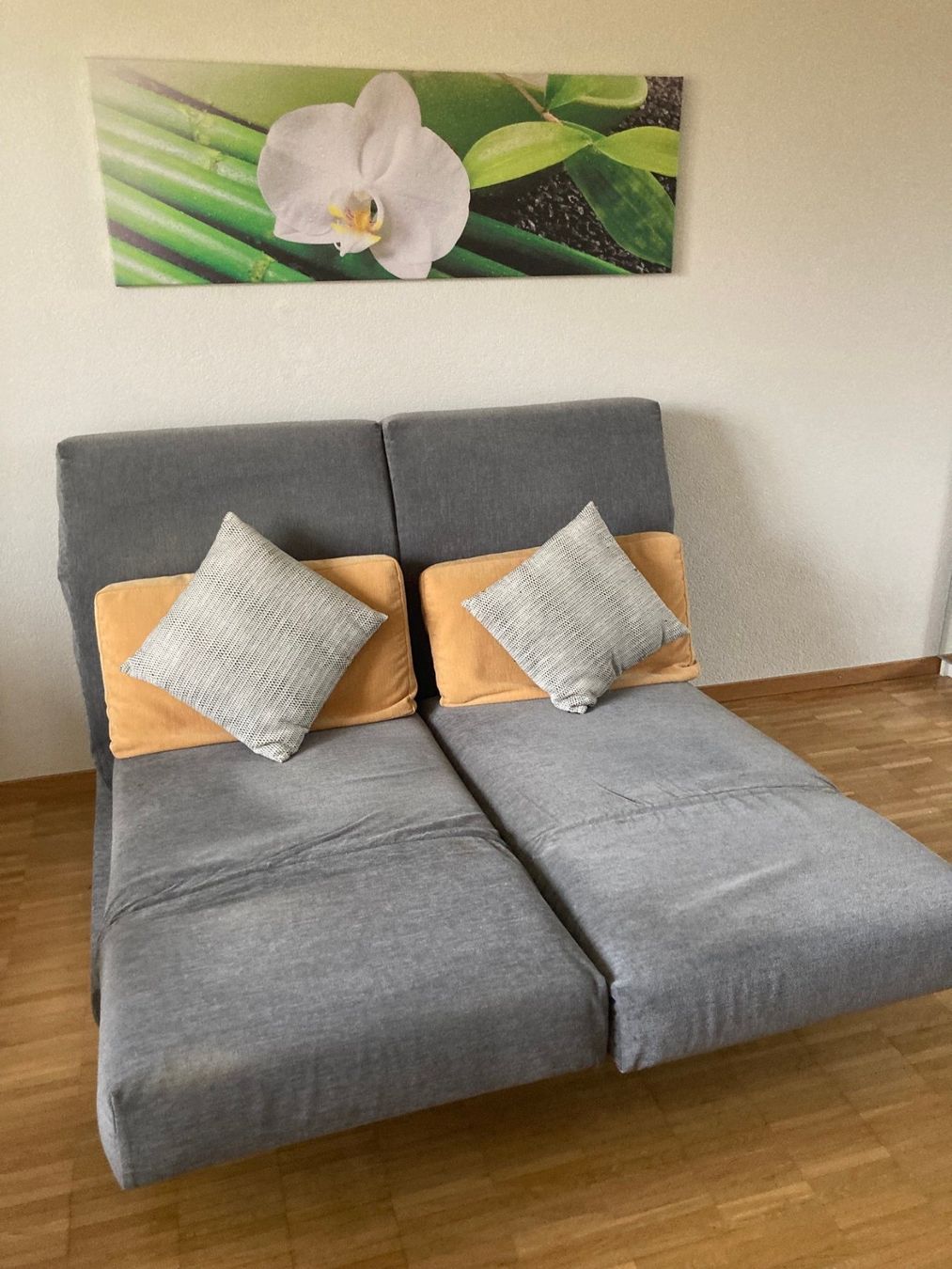 Brühl Sofas: Sofa Brühl – Gebraucht aus Feldbrunnen von  1