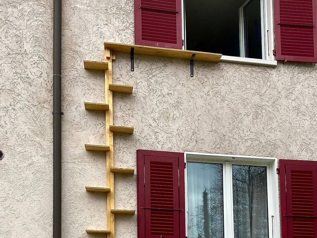 Scale: Katzenleiter auf Mass – Usato da Böckten venduto da unikatum