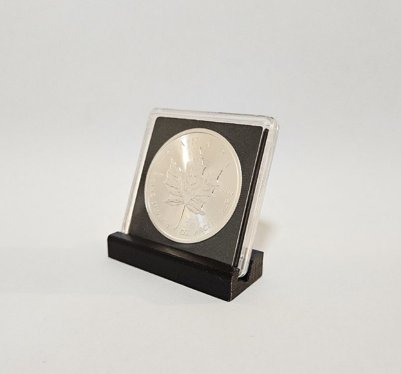 300 Stück Münzhalter Aus Karton – Weiß, 5,1x10,2 Cm Für 31,5 Mm Münzen