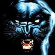 Profile image of black_panther