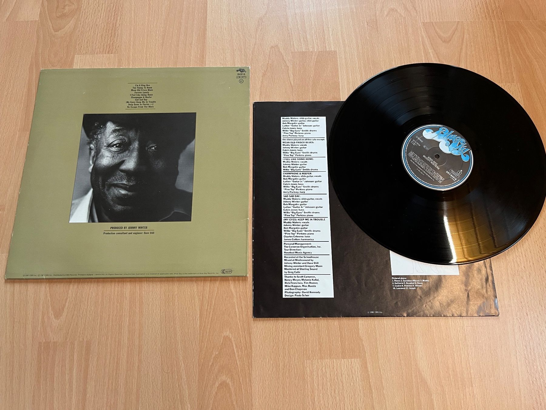 Vinyles: Muddy Waters mit Johnny Winter - King Bee – D'occasion à Giebenach par Wurlitzer70 1