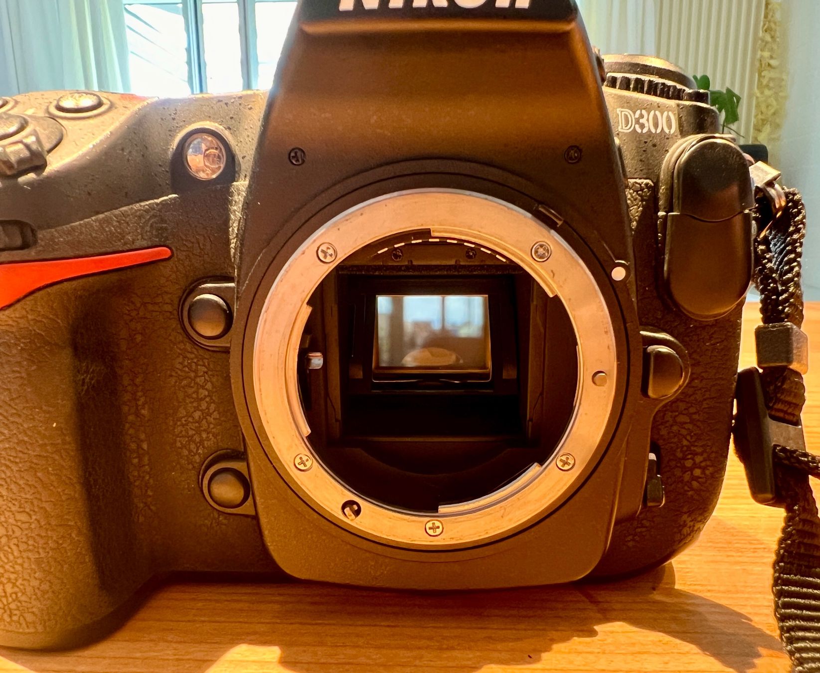 Nikon Appareil photo: Nikon D300 Set mit 2 Objektiven – D'occasion à Männedorf par Franzflo 9