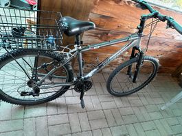 Fahrrad, kein E-Bike, grau , guter Zustand