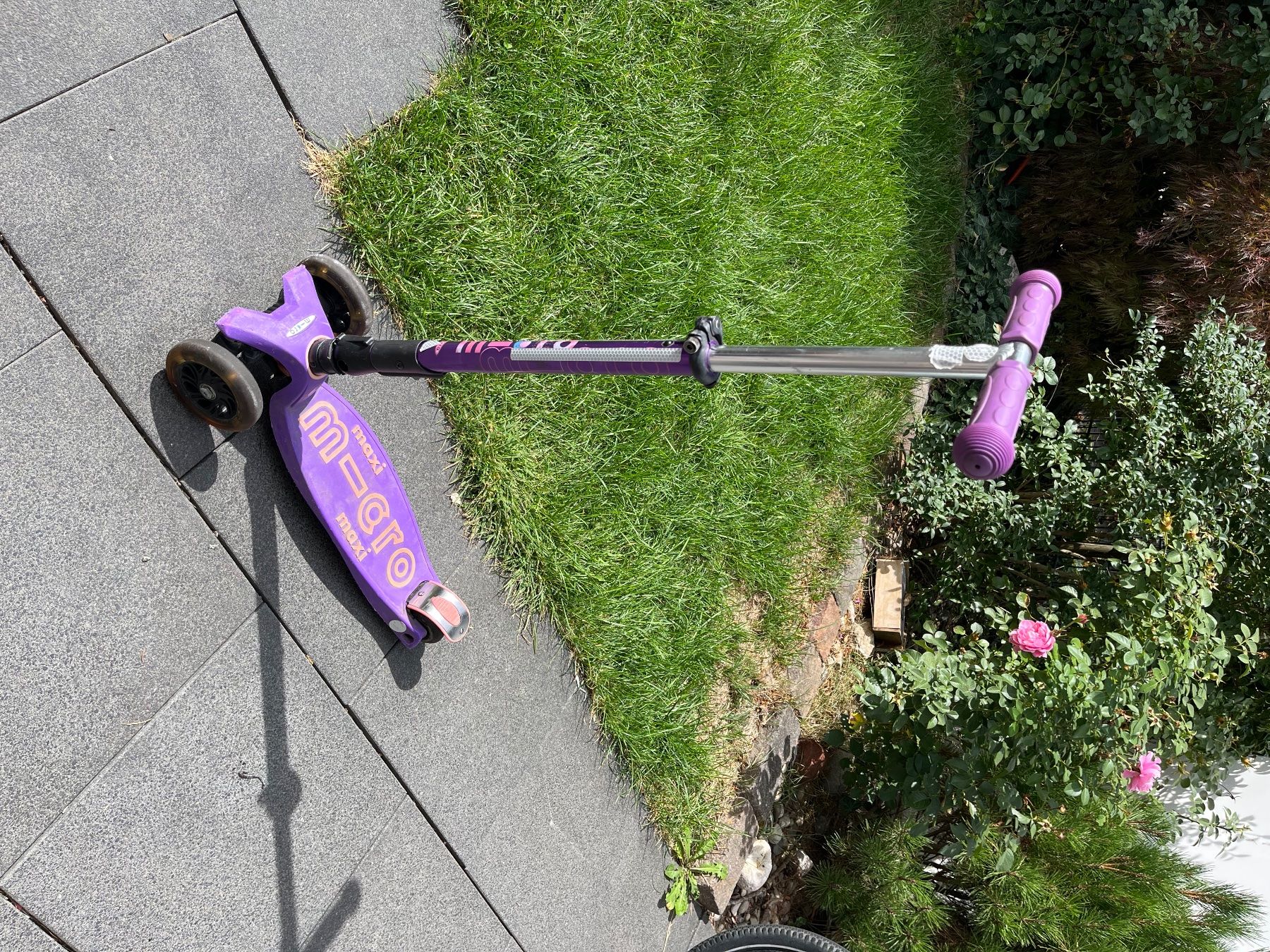 Micro Kickboard: Maxi Micro Roller / Scooter / Trotti – D'occasion à Reinach BL par jrr_n9bb