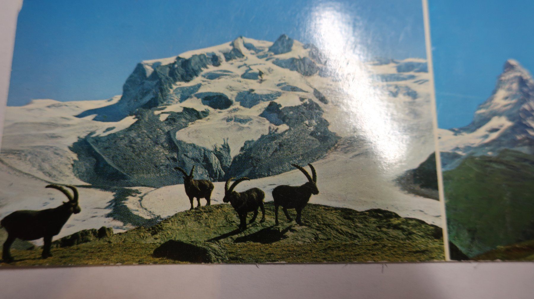 Cartes postales: Zermatt Multivues – D'occasion à Cormoret par Pascalll2001 4