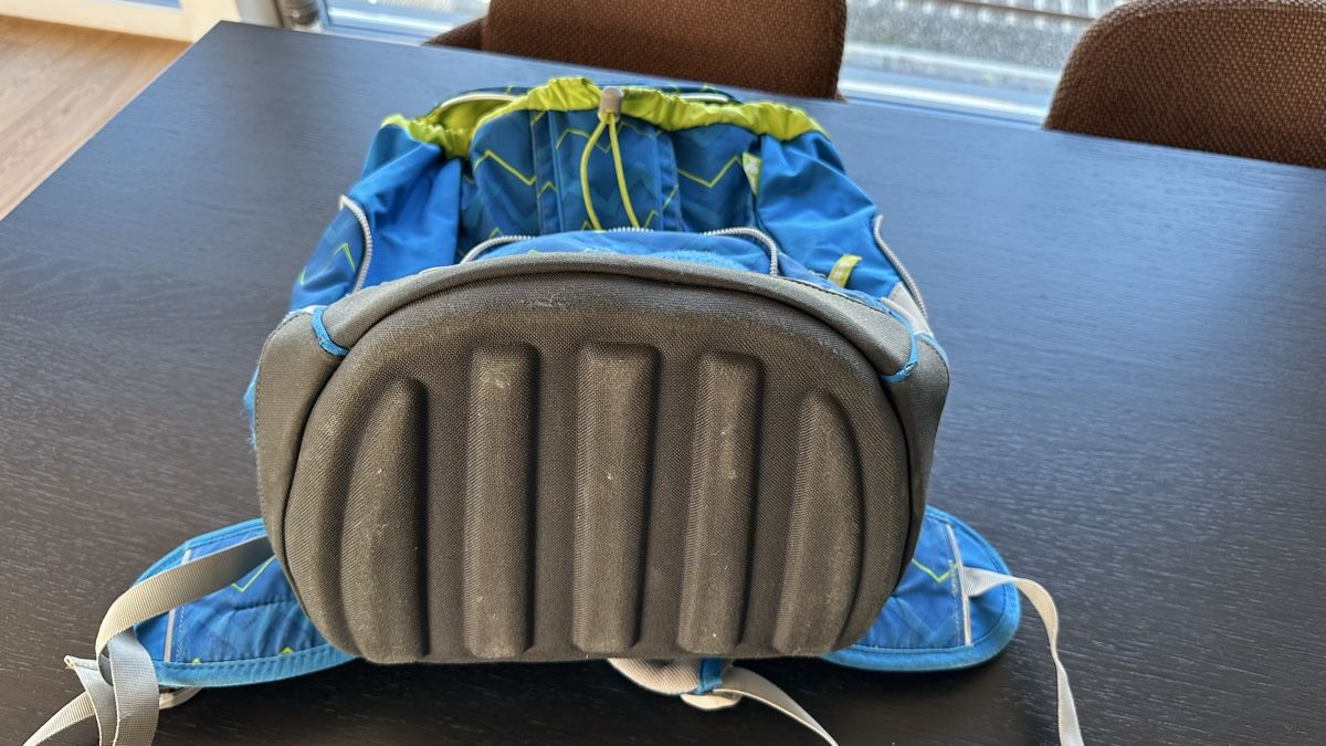 Ergobag Borse & Zaini: Ergobag Schulrucksack - gut erhalten! – Usato da Altendorf venduto da pebi77 5