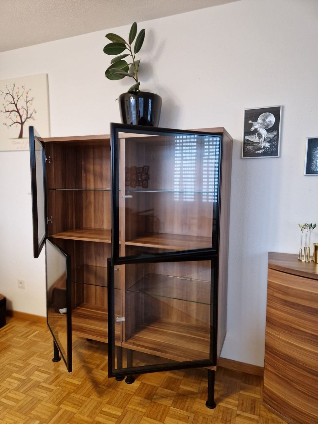 Vetrine: Vitrine in Nussbaum Optik – Usato da St. Gallen venduto da confusion01 2