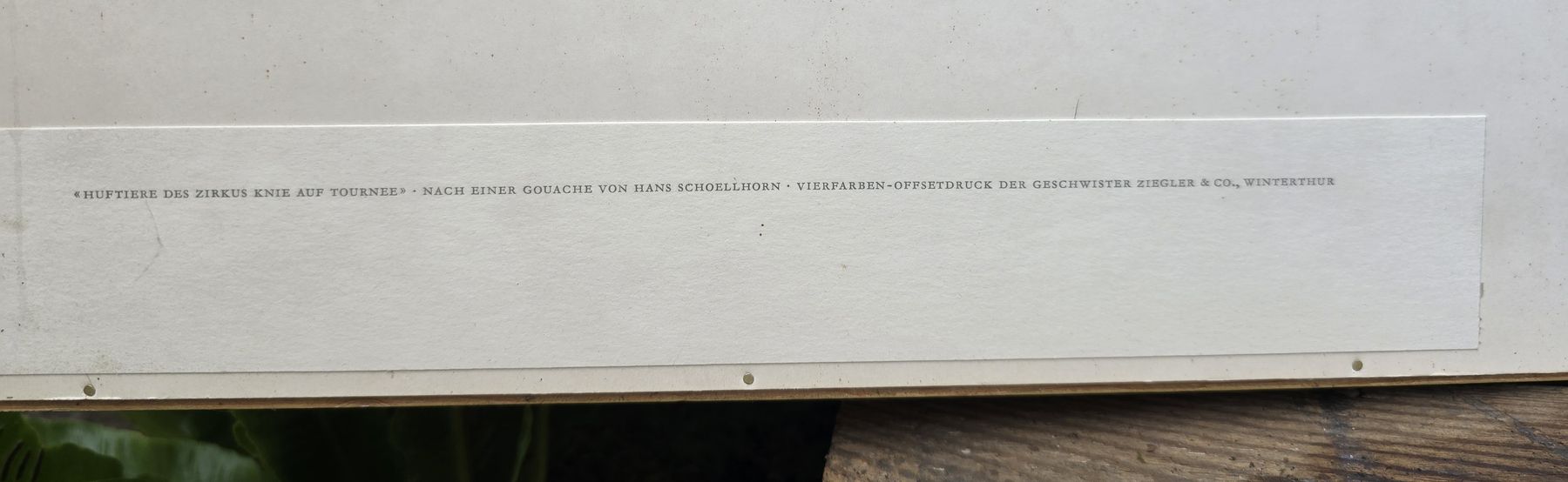 Foto & Immagini: Kunstdruck von Hans Schoellhorn – Usato da Walkringen venduto da Vanuca 8