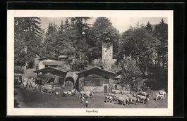 Interlaken, Tell-Freilicht-Spiele, Alpau