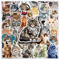 50 AUFKLEBER *MAIN COON KATZEN* NEU+OVP
