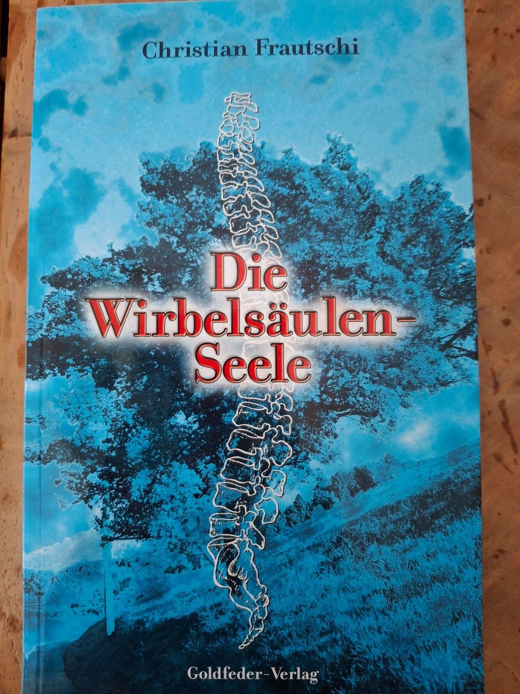 Libri: Die Wirbelsäulenseele - Christian Frautschi – Usato da Courlevon venduto da Eiscool