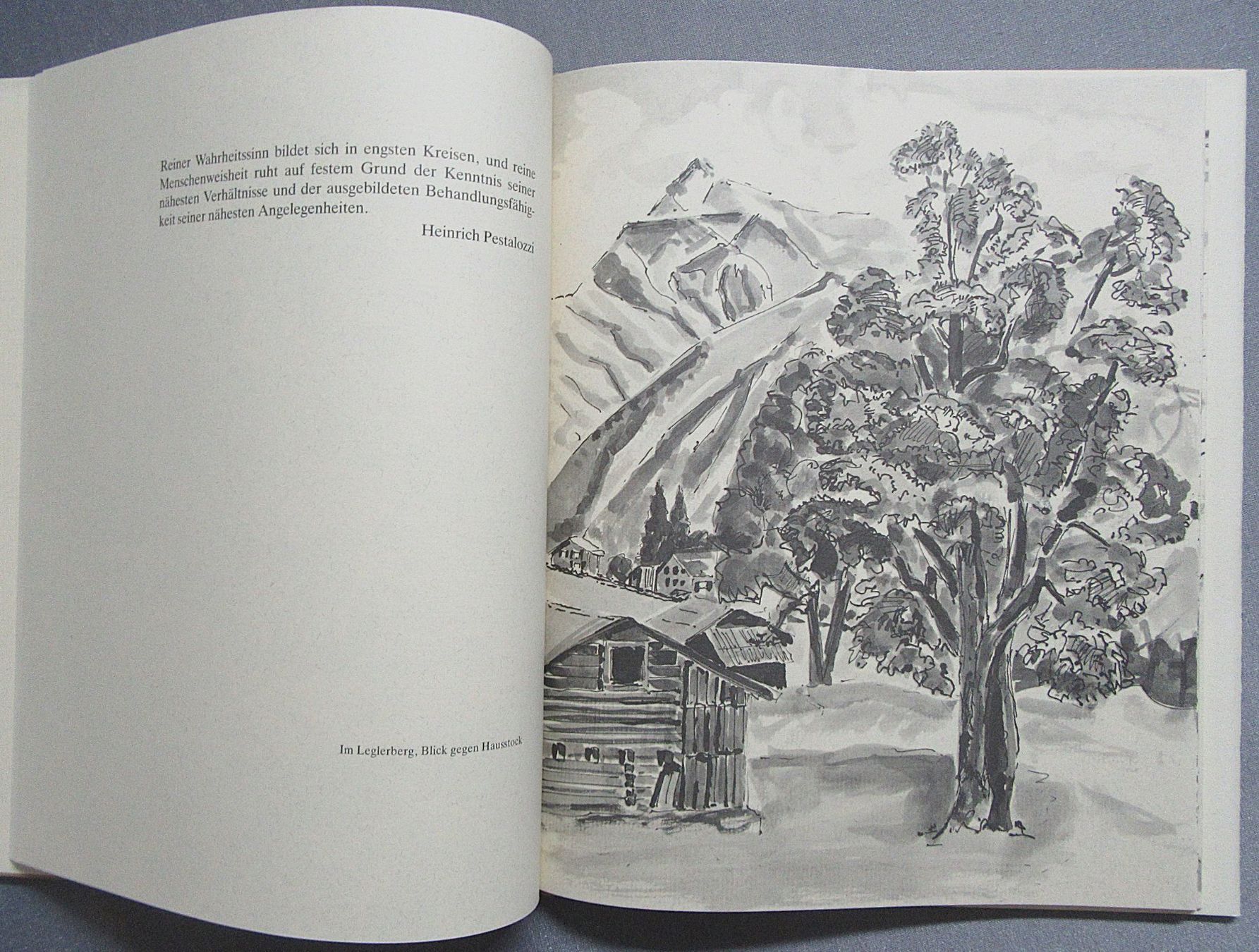 Libri: Braunwalder-Skizzen von Ernst Weber – Usato da Auenstein venduto da Padabimbim 3