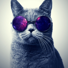 Profile image of Sc_Tombino