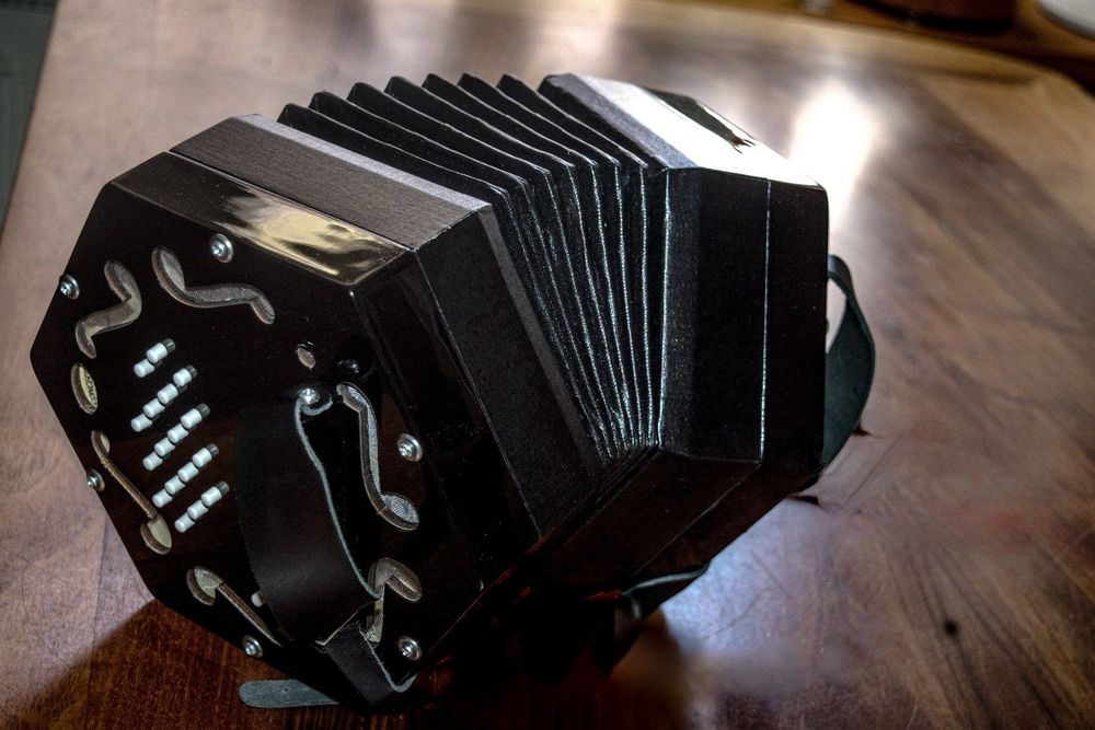 Elise Hayden Duet concertina/Neuwertig/mit Bag+ Lehrheft Kaufen auf