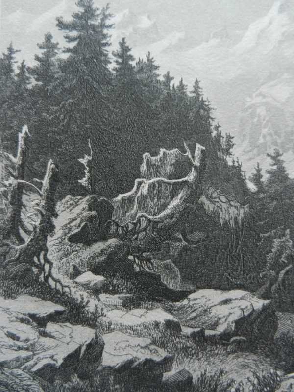 Incisioni: Piz Bernina Oberengadin – Usato da Risch venduto da Rischli15 3