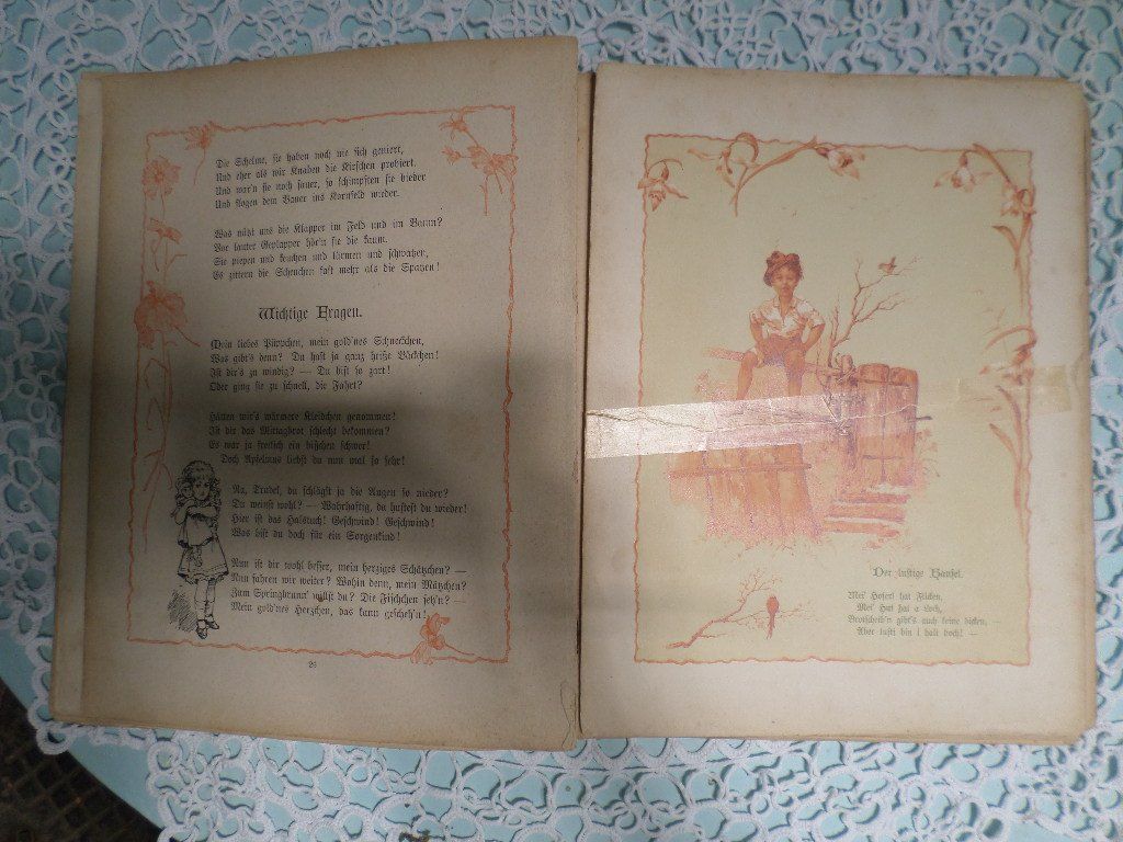 Libri: Bunter Sang von Frida Schanz – Usato da Liestal venduto da man_7bt6 5