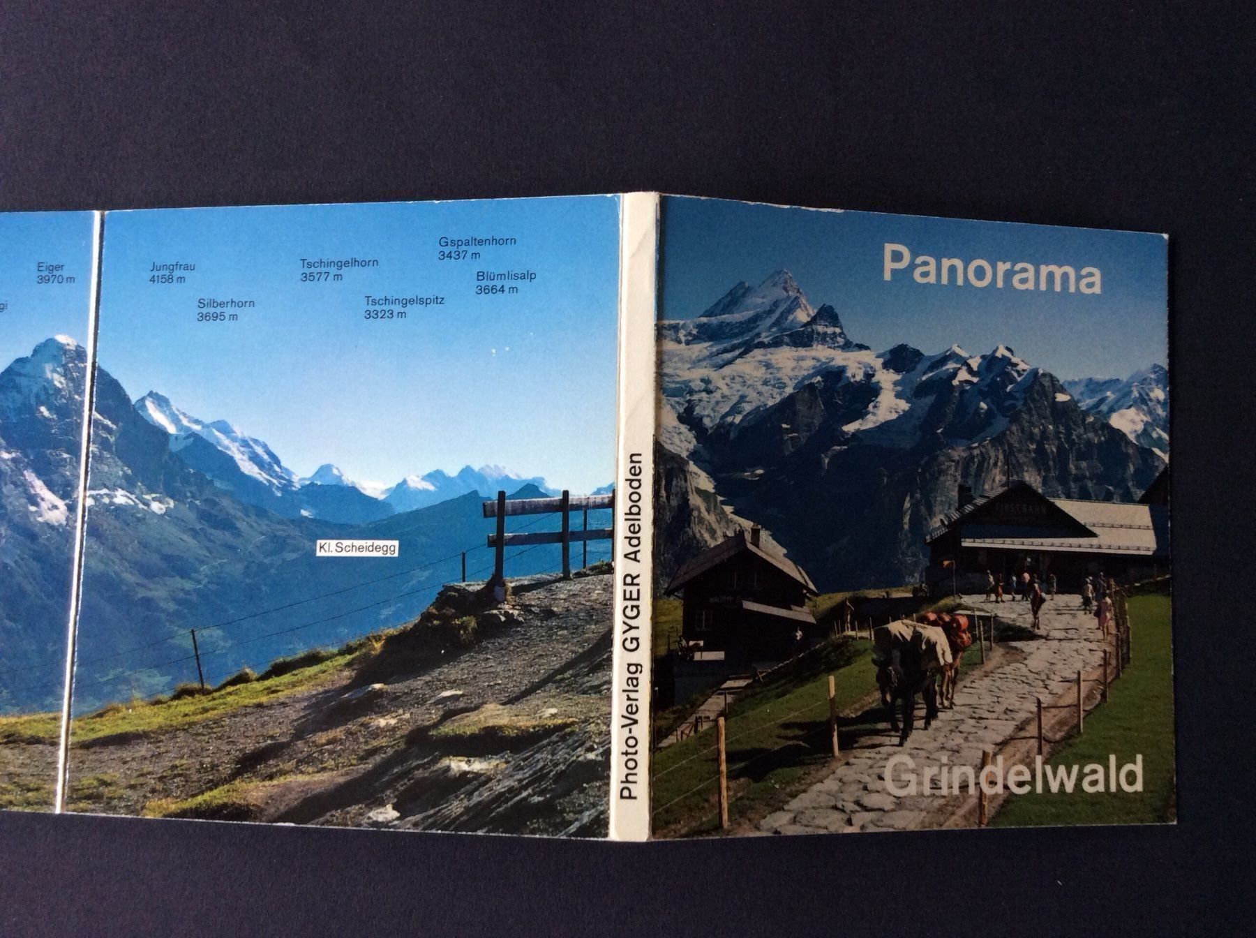 Cartine & Atlanti: Grindelwald Panorama – Usato da Widnau venduto da Brusi9