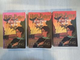 Harry Potter et la Coupe de Feu Grand format 