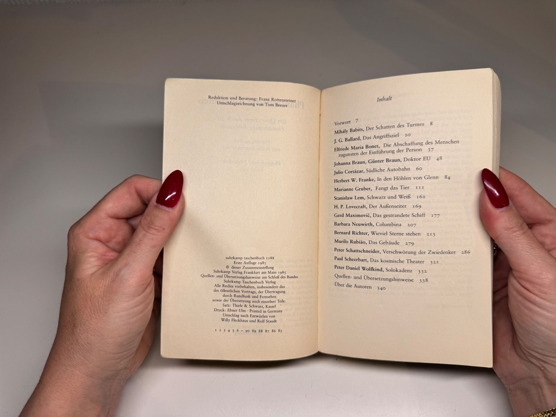 Libri: BUCH: Phantastische Aussichten – Usato da Grosswangen venduto da Kleine.Knoepfe 3