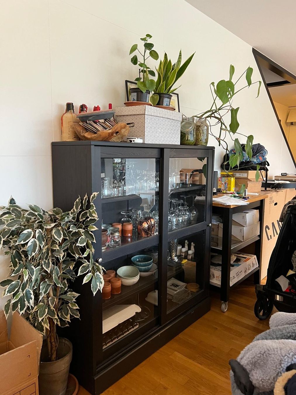 Ikea Vitrinen: Ikea havsta black cabinet – Gebraucht aus Zürich von vir_fried 1
