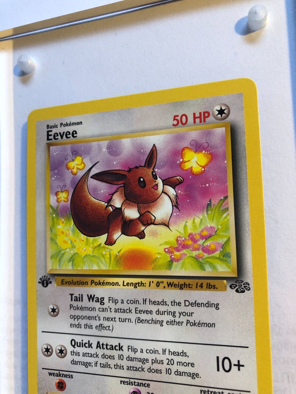 Cartes à collectionner: Eevee 1st Jungle - MINT - ab 1.- – D'occasion à Giubiasco par dan_pr8b 3