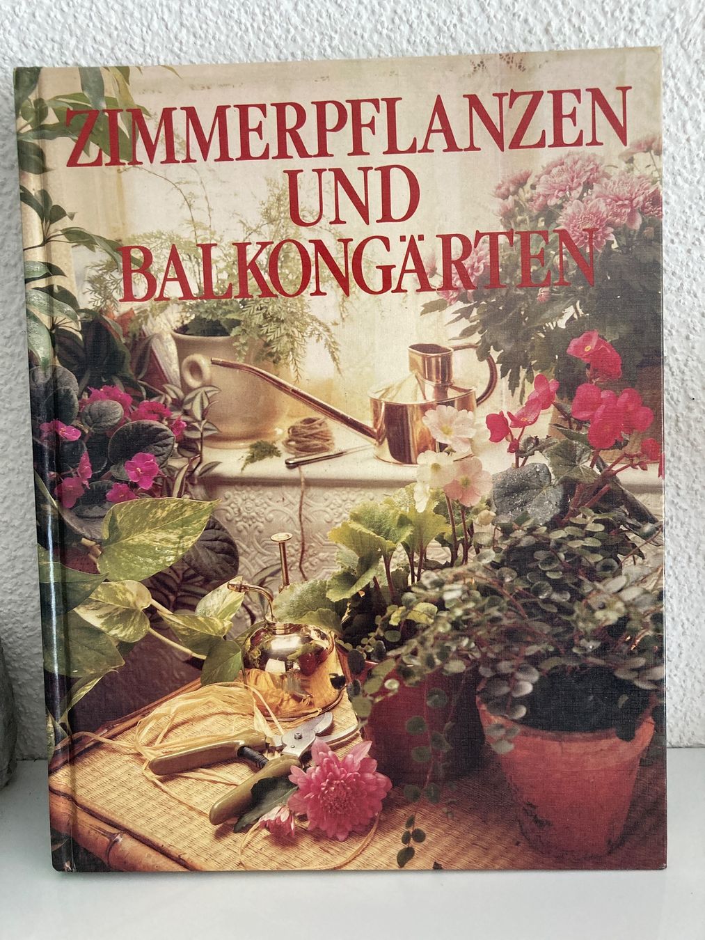 Libri: Zimmerpflanzen und Balkongärten – Usato da Frauenfeld venduto da AlphaCentauri369