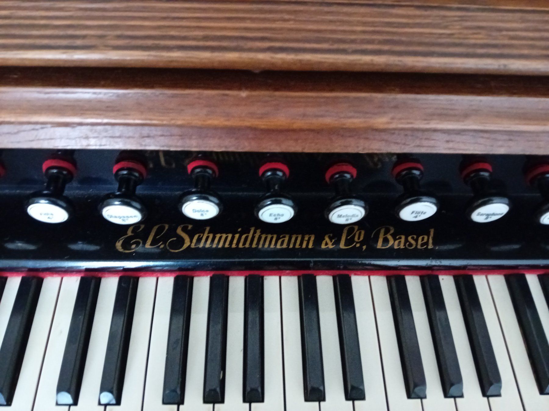 Strumenti musicali: Antike Harmonium von Hofberg E.L. Schmidtmann Basel – Usato da Jona venduto da fabienne99brunner 2