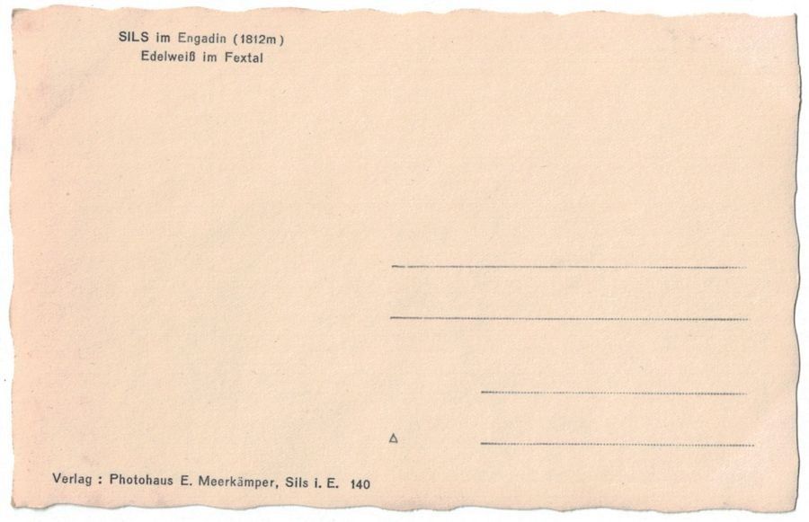 Cartoline postali: Sils, Edelweiss im Fextal – Usato da Frauenfeld venduto da POML 1