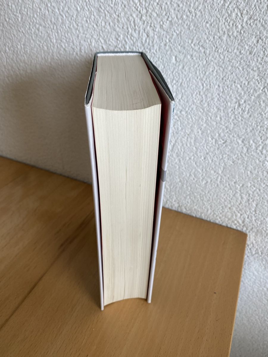 Libri: Die Eishexe/Kriminalroman - Camilla Läckberg – Usato da Schwarzenburg venduto da Michellu 3