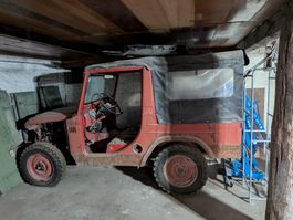 Daihatsu Wildcat F20 Scheunenfund