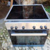 Forno con piastra