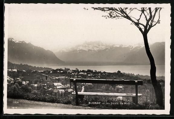 Cartoline postali: AK Blonay, Les Dents du Midi, 1936 – Usato da Berlin venduto da bartko-reher