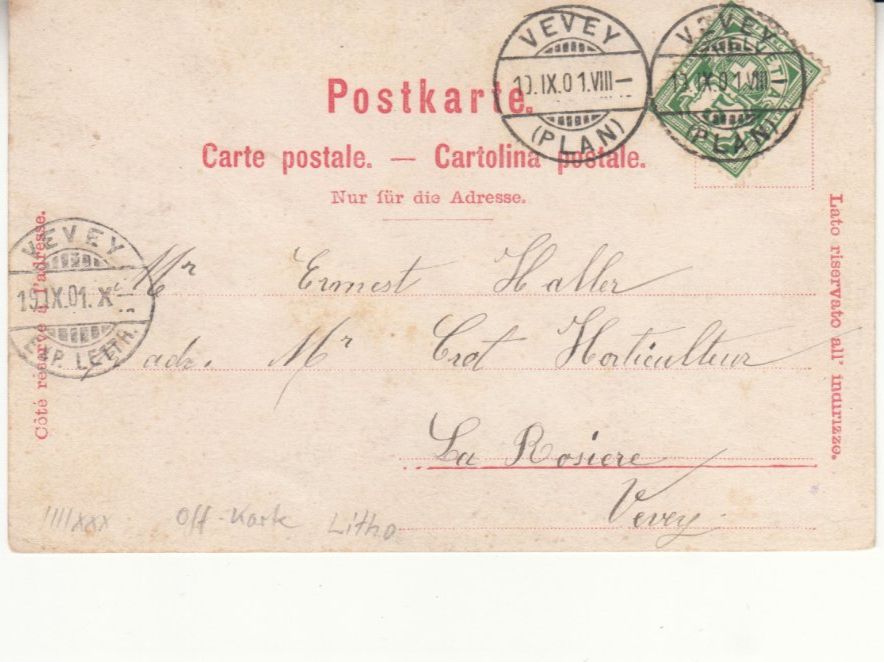 Cartoline postali: Vevey 1901 – Usato da Bürglen TG venduto da StampGraf 1