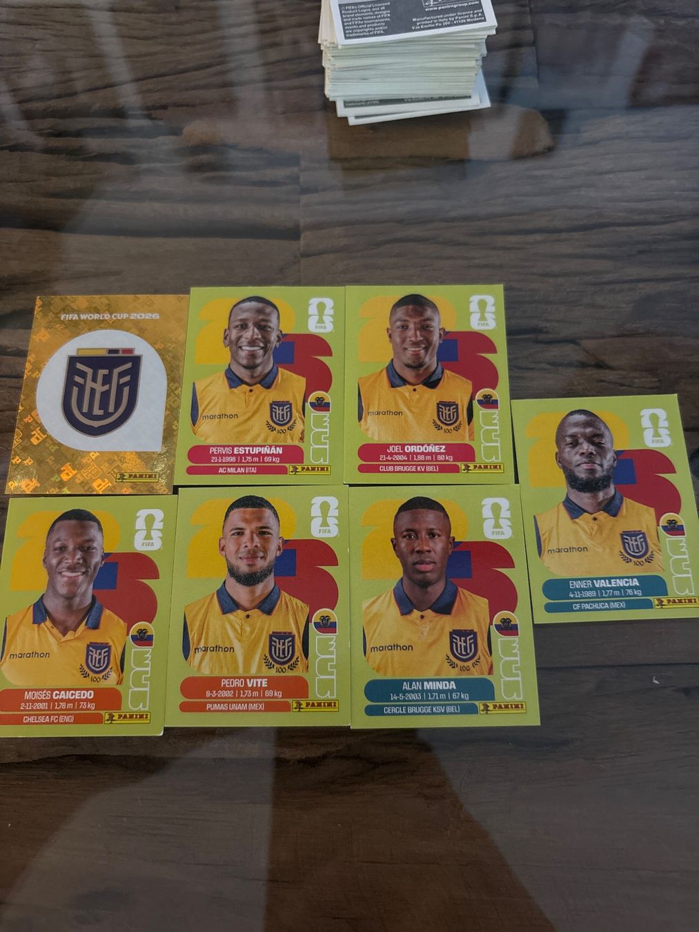 Panini Sammelbilder & Trading cards: Panini ECU – Neu (gemäss Beschreibung) aus Spiez von inf_l9c6
