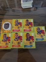 Panini ECU