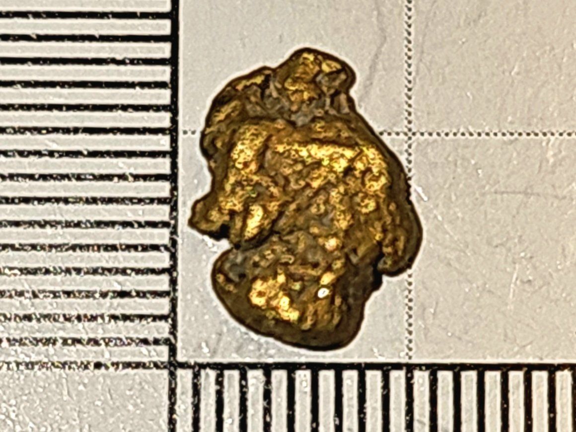 Metalli preziosi: Natürlicher Schweizer Goldnugget – Nuovo e nell'imballaggio originale da Uerkheim venduto da Winwinner 2
