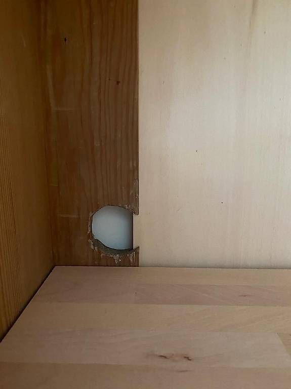 Armadi: Antiker Kleiderschrank – Usato da Luzern venduto da lou4444 4
