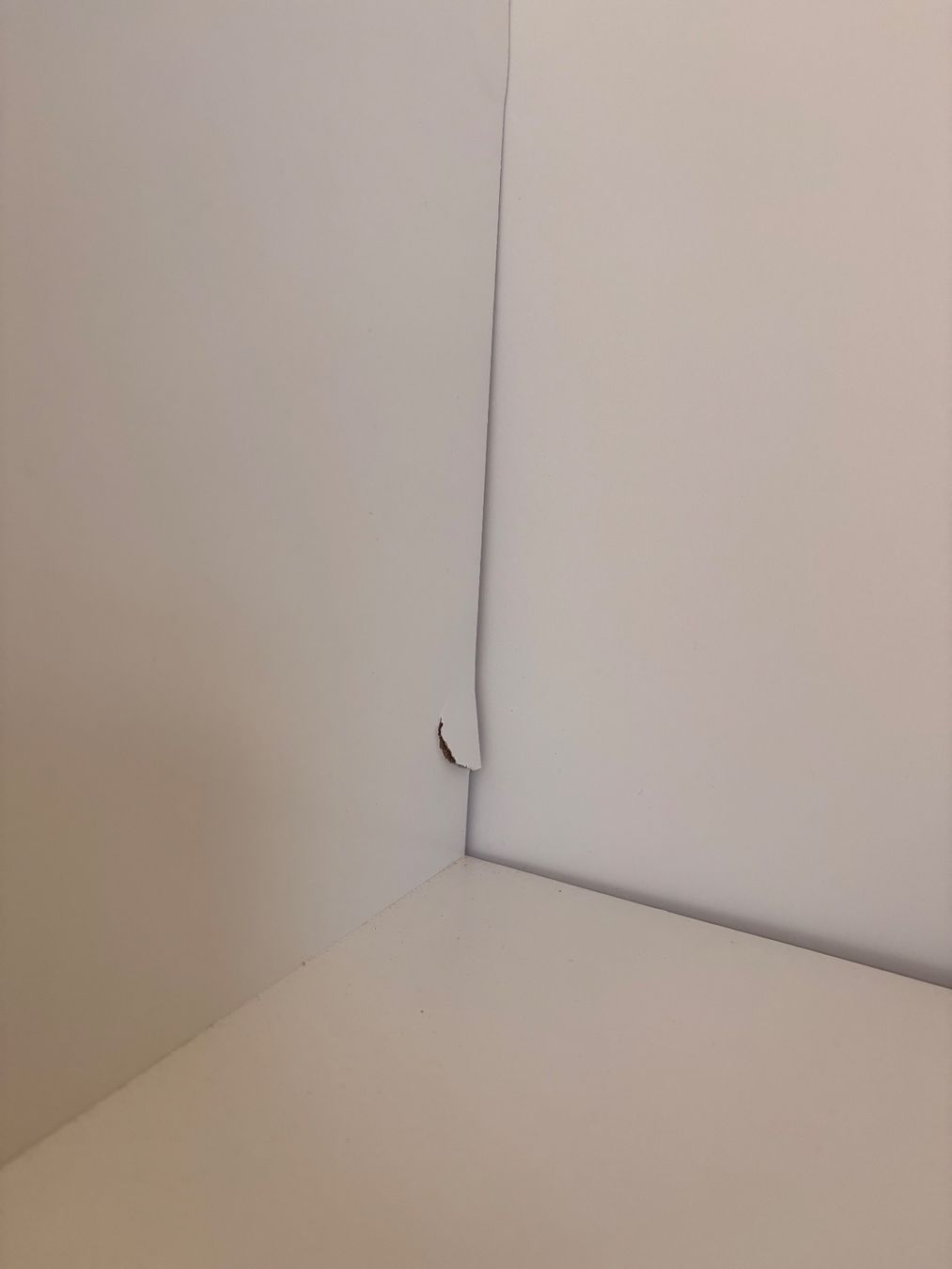 Ikea Armadi: Ikea Kleppstad 2 Türe – Usato da Bern venduto da ann_d62k 5