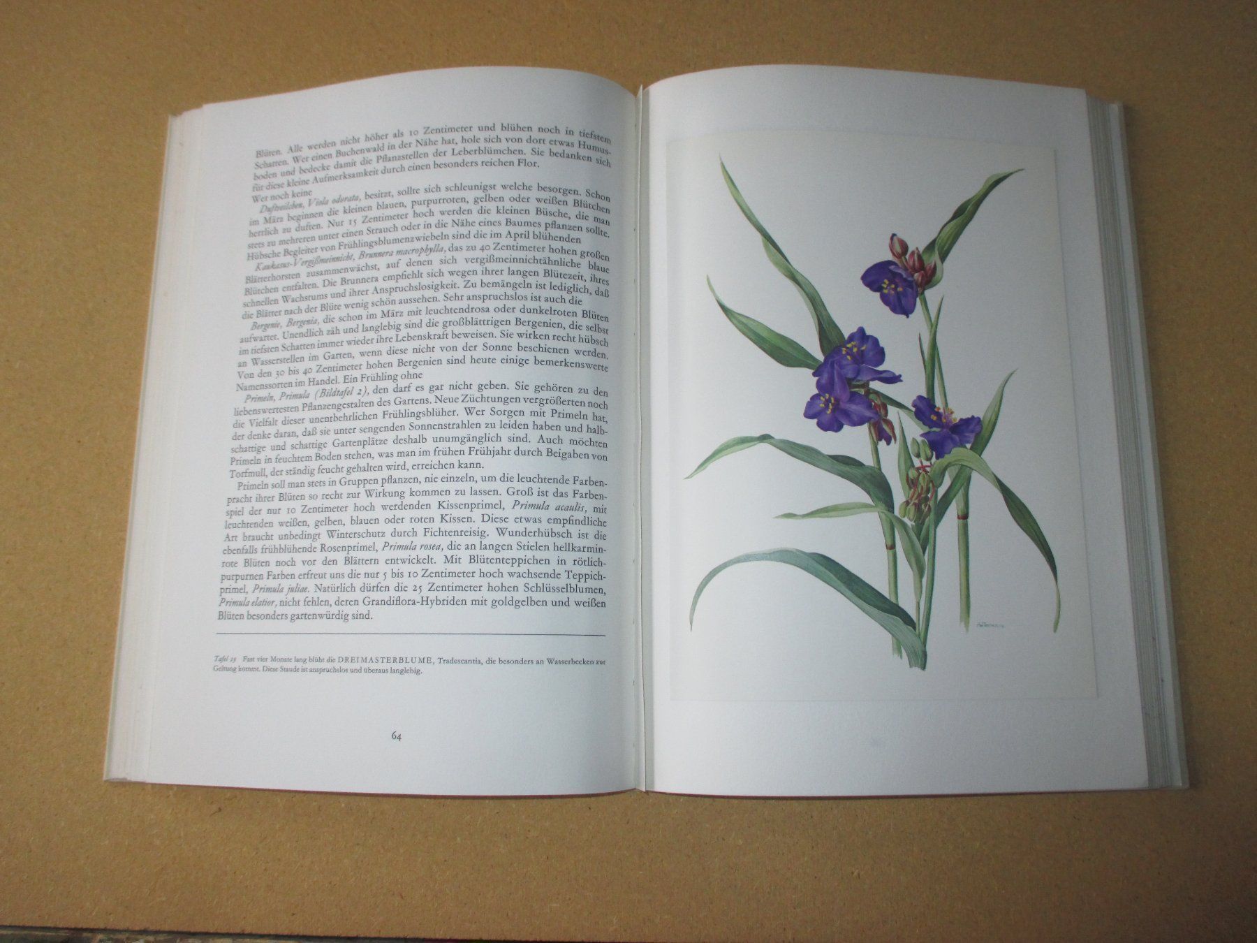 Libri: Wunderwelt der Gartenblumen, 2 Bände – Usato da Flims - Dorf venduto da Stagediver 4