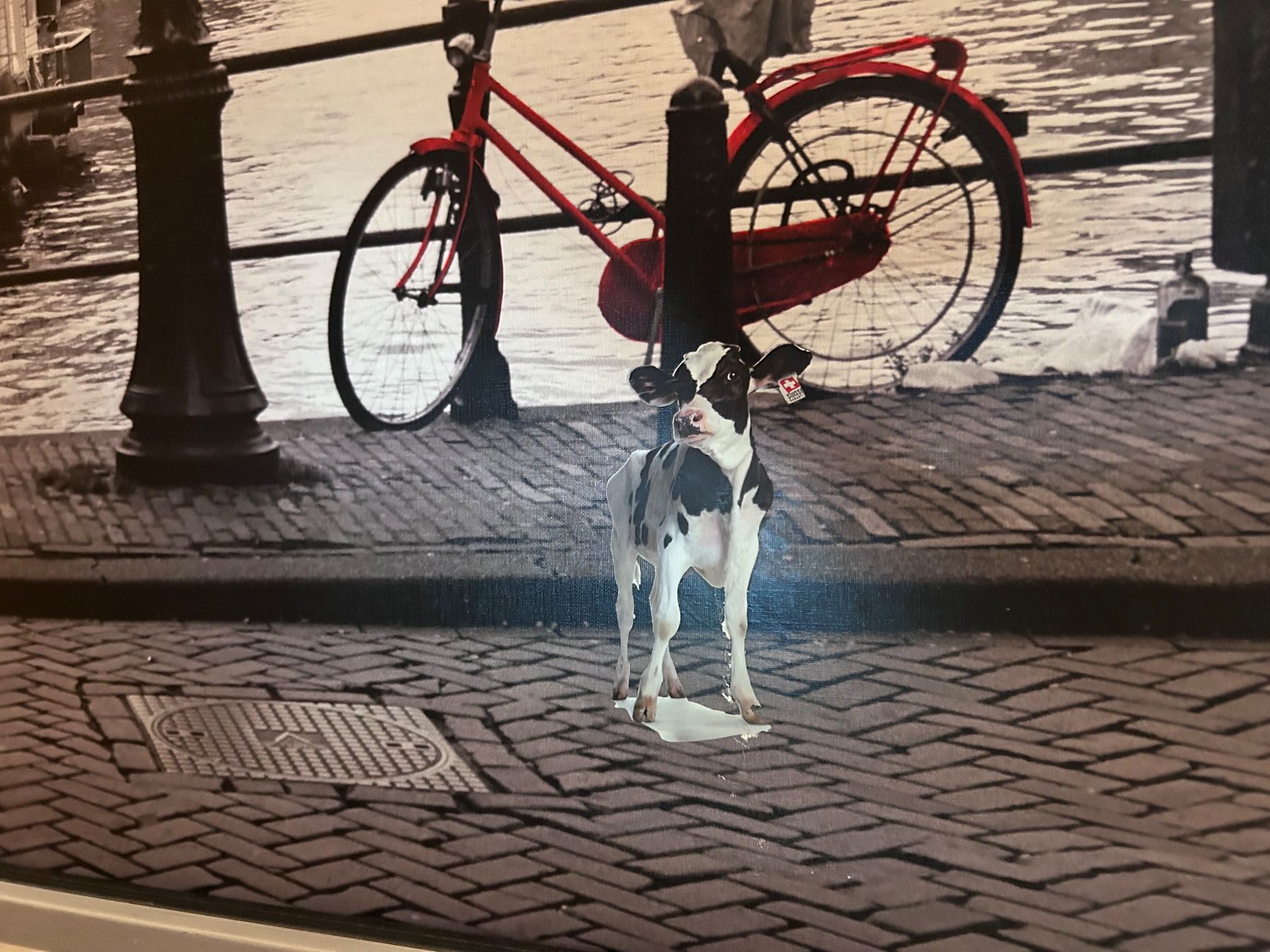 Foto & Immagini: Amsterdam Bild IKEA – Usato da Riehen venduto da mittwoch81 1