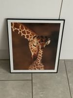 Süsse Giraffe mit Kind, Bild mit Rahmen, Top ! NEU!