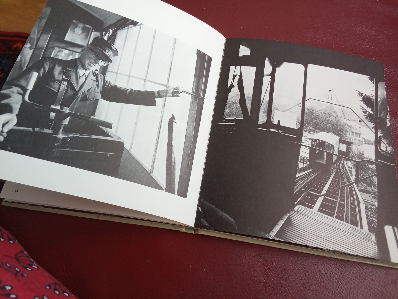 Libri: D MARZILIBAHN – Usato da Muri BE venduto da Alk 4
