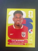 Panini FIFA World Cup Sticker PAN 9