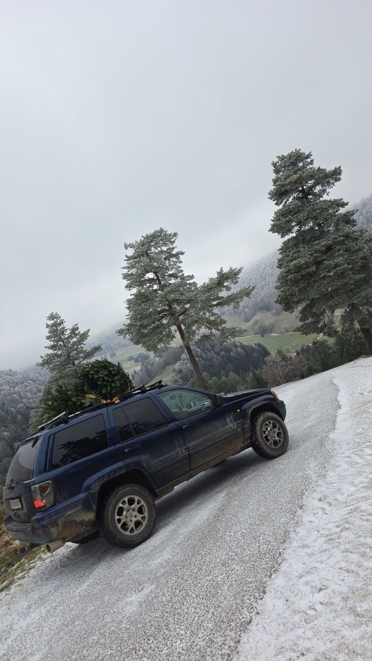 Jeep Automobili: Jeep GrandCherokee – Usato da Welschenrohr venduto da maxum 2