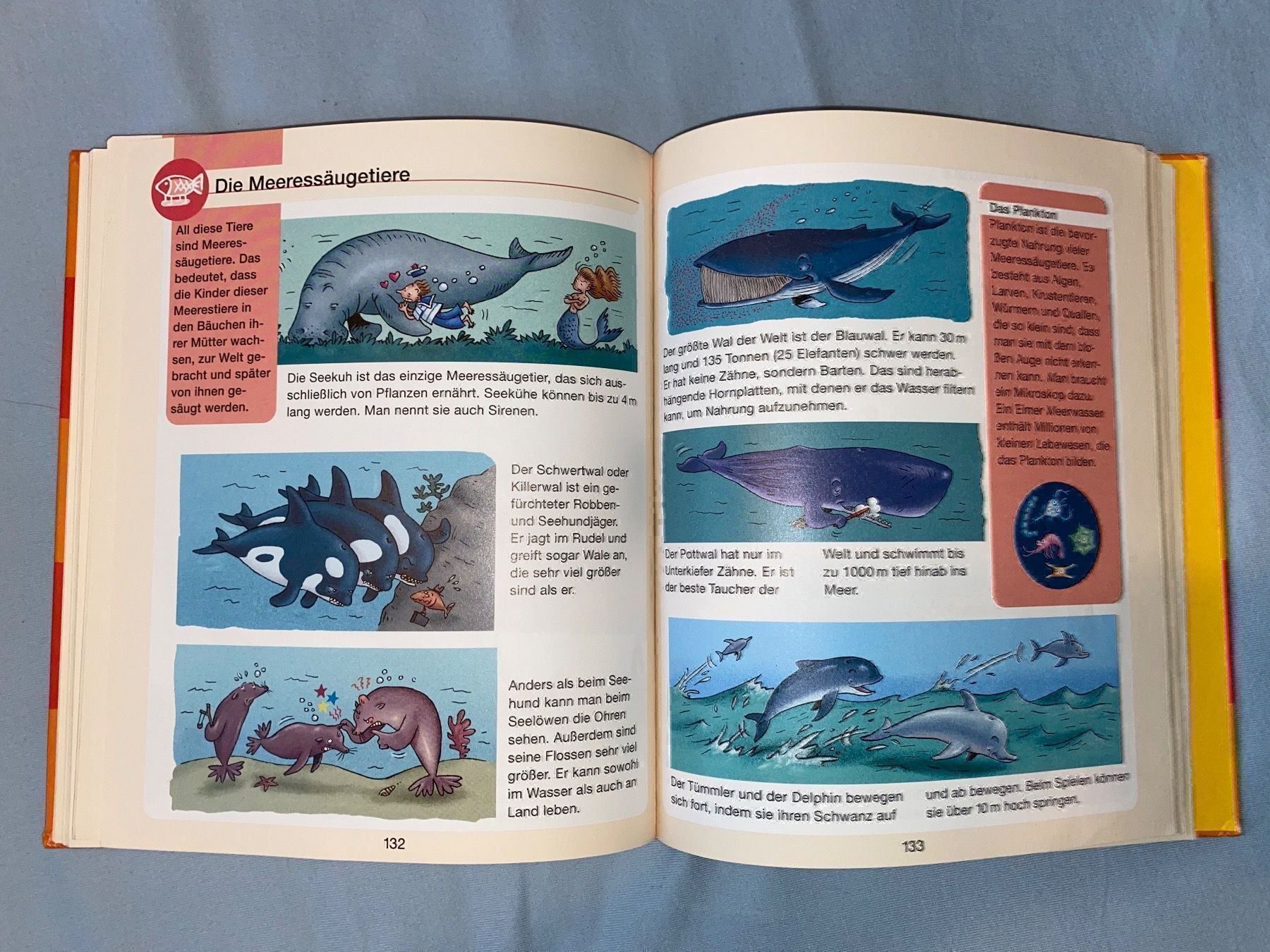 Libri: Kinderlexikon – Nuovo (secondo la descrizione) da Altendorf venduto da Jeshy15 2