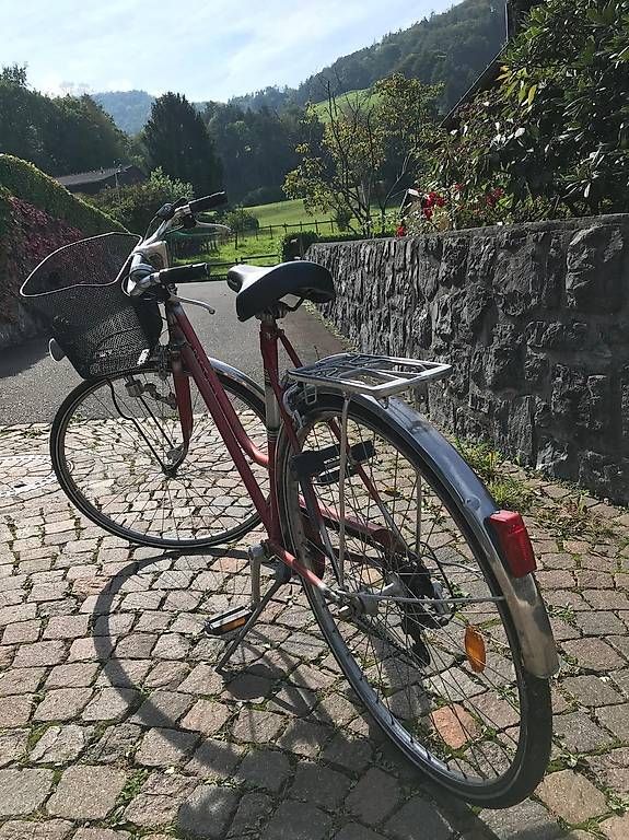 Vélos: Vintage Velo – Défectueux à Mosnang par Nilya_Erdo 3