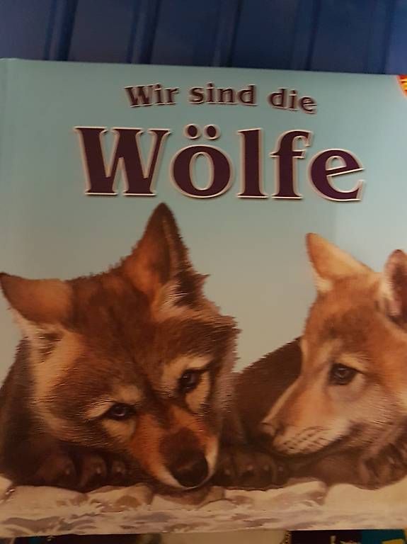 Bücher:  Bücher/Kinder – Gebraucht aus Nürensdorf von conceicao74 4
