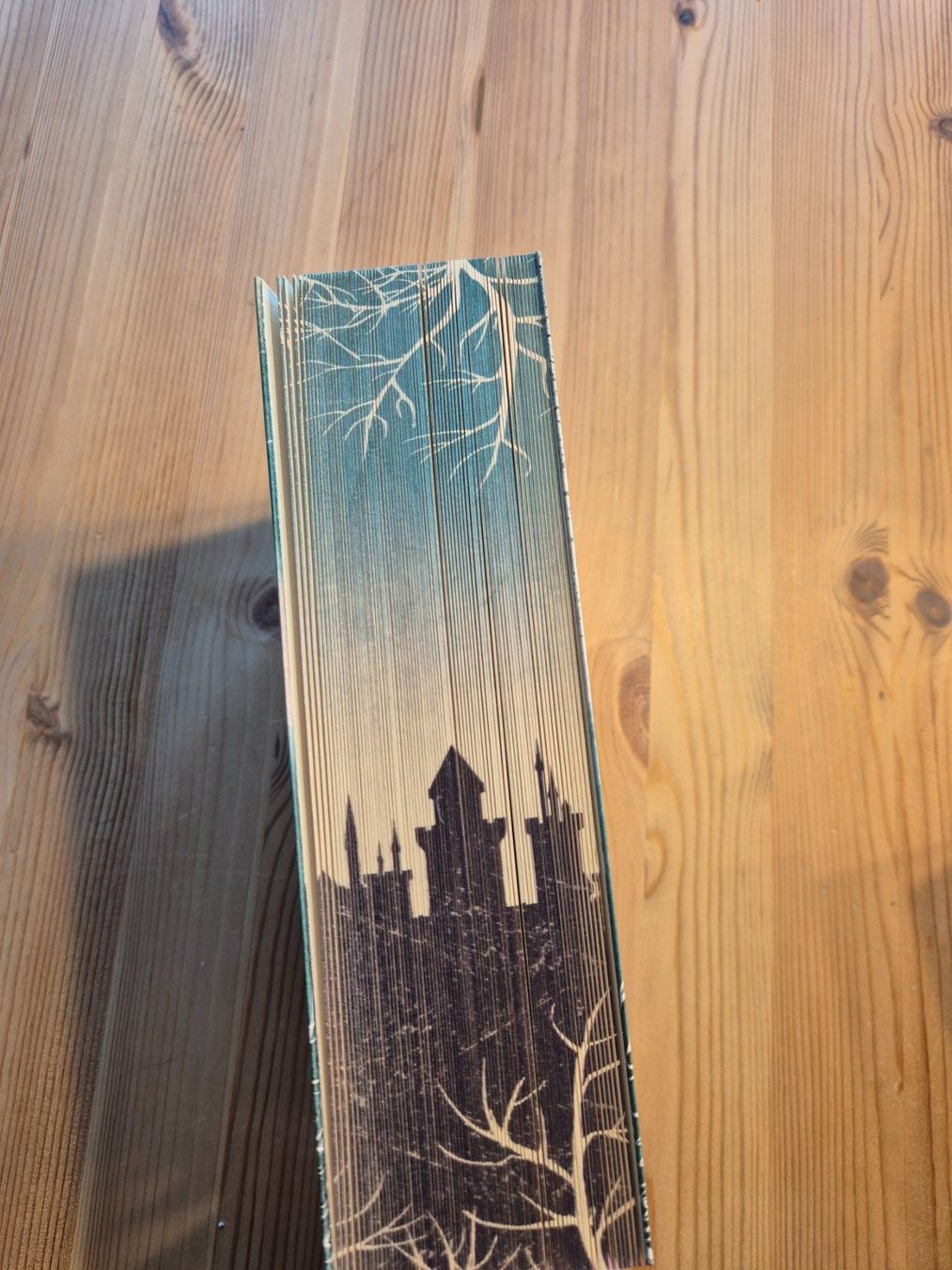 Libri: Für den Wolf - Hannah Whitten – Usato da Domat/Ems venduto da ana_zd9d 2